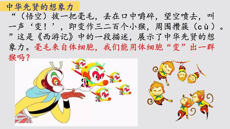 初中 生物 人教版(2024) 七年级上册(2024) 第一节 细胞通过分裂产生新细胞 课件第3页