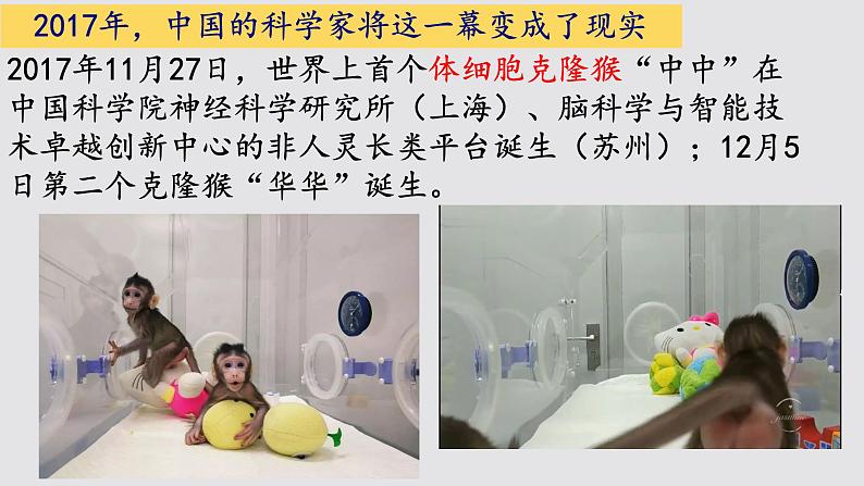 初中 生物 人教版(2024) 七年级上册(2024) 第一节 细胞通过分裂产生新细胞 课件第4页