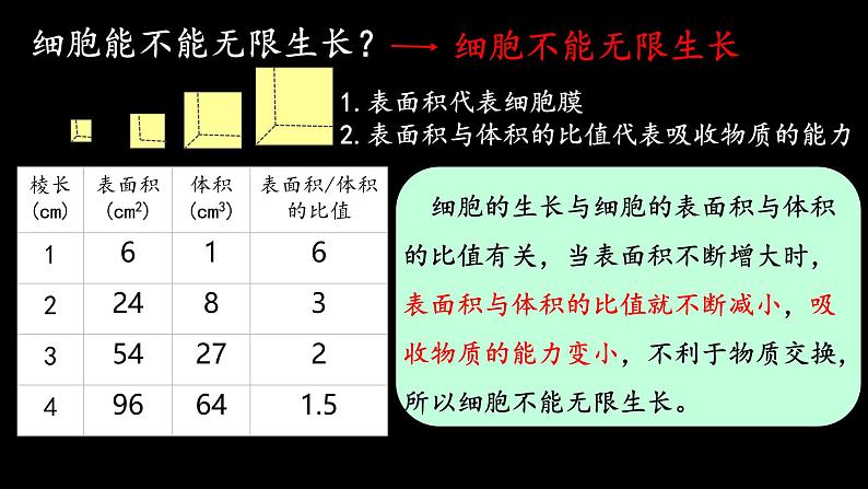 初中 生物 人教版(2024) 七年级上册(2024) 第一节 细胞通过分裂产生新细胞 课件第4页