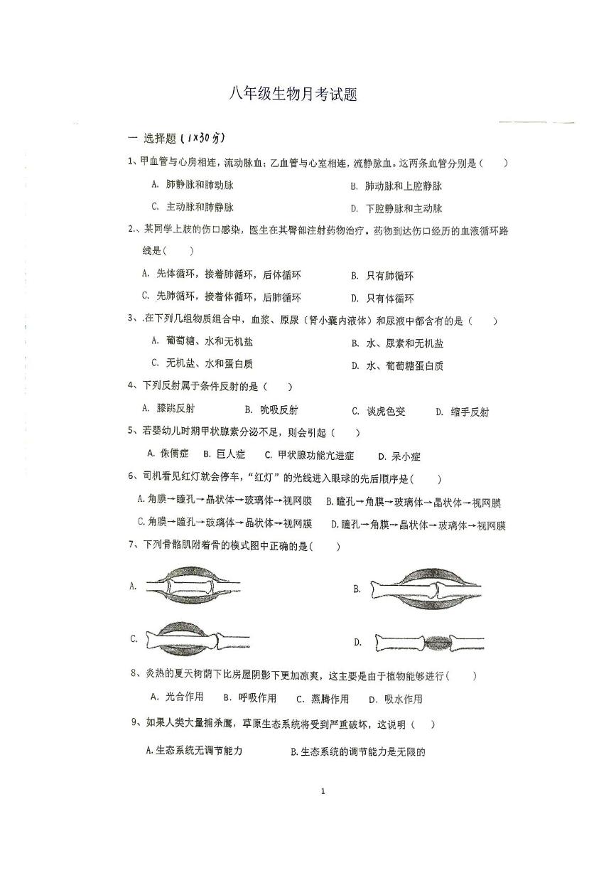 江苏省徐州市沛县五中联盟学区2024-2025学年八年级上学期12月月考生物试题