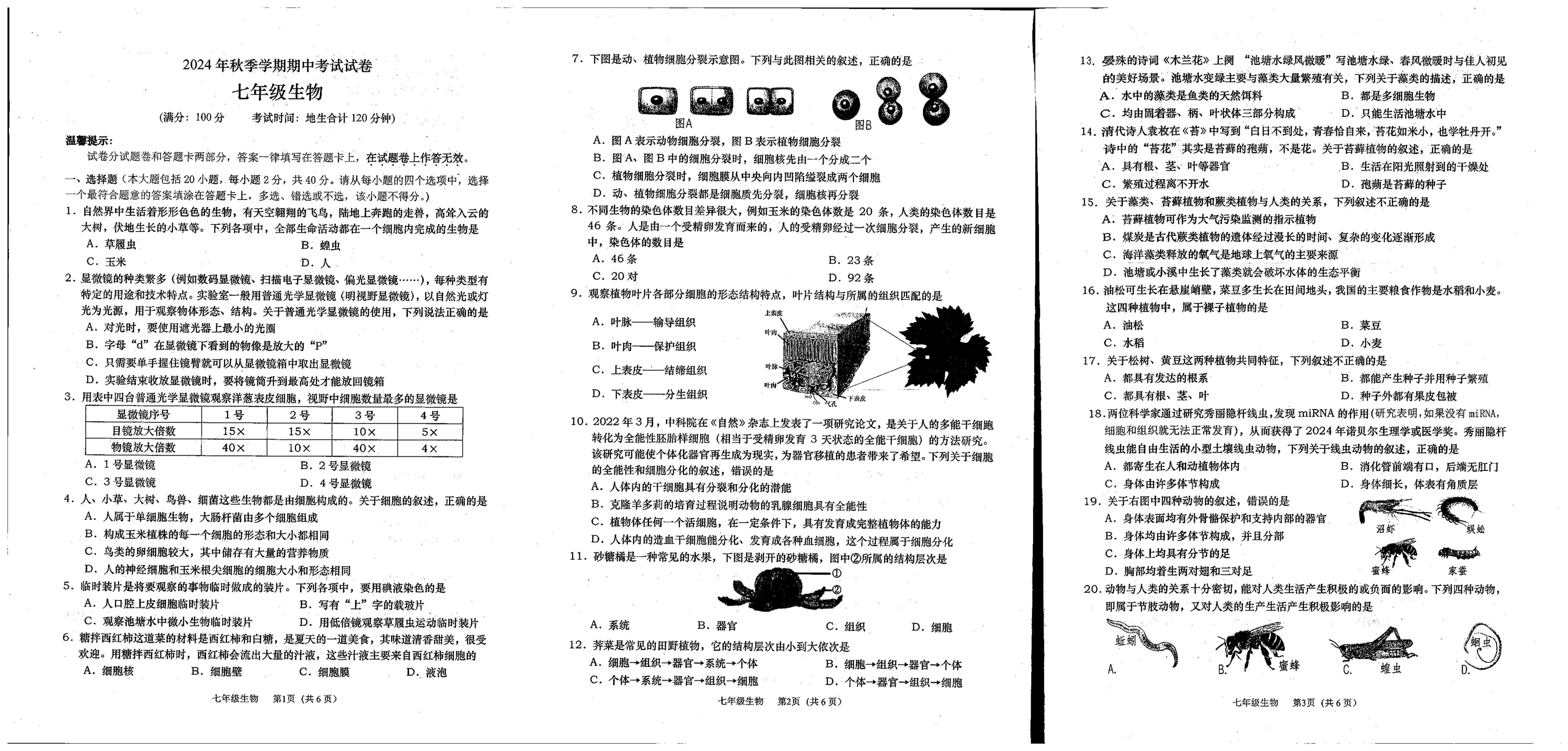 广西壮族自治区钦州市灵山县青云中学2024-2025学年七年级上学期期中考试生物试题