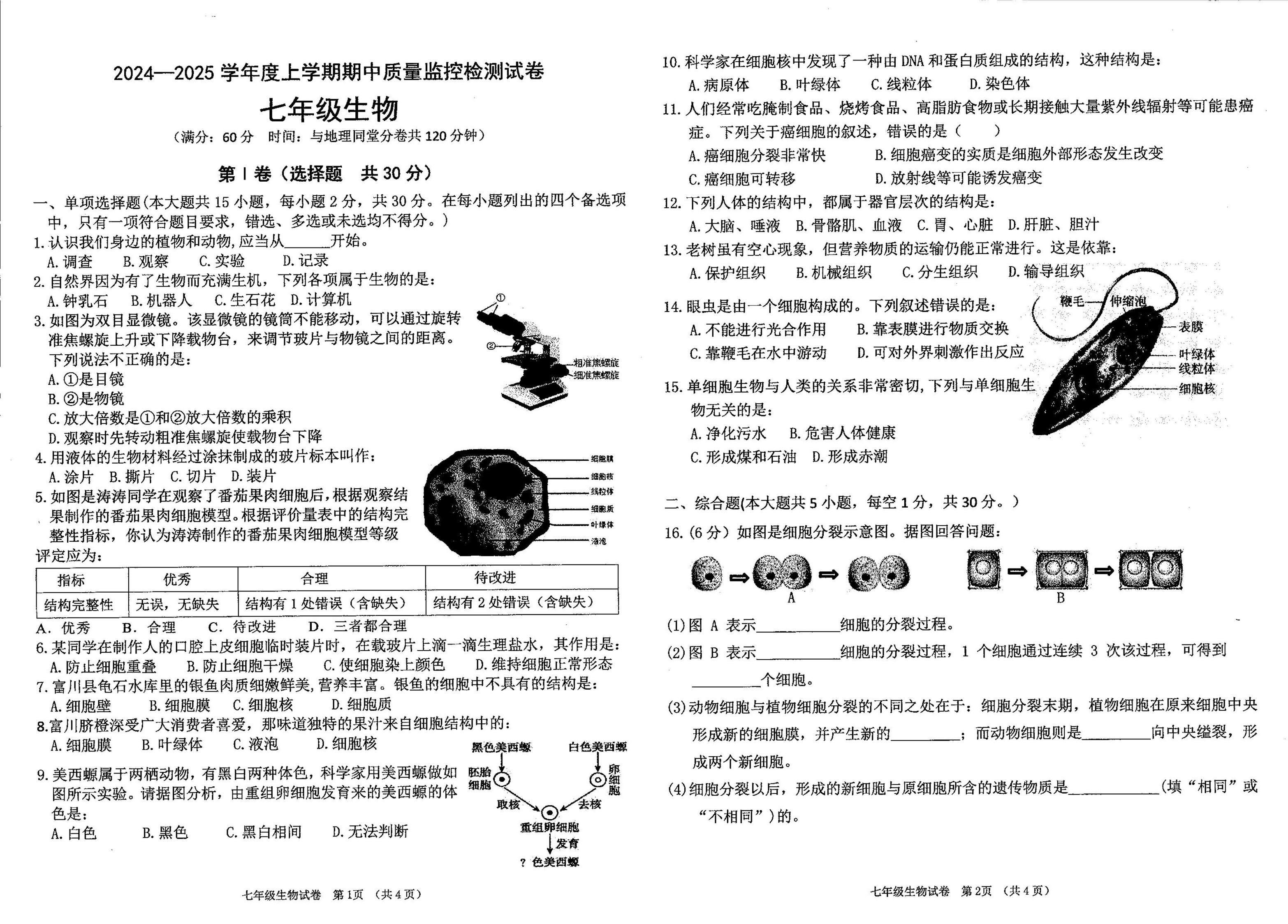 广西贺州市富川瑶族自治县第三中学2024-2025学年七年级上学期期中考试生物试题