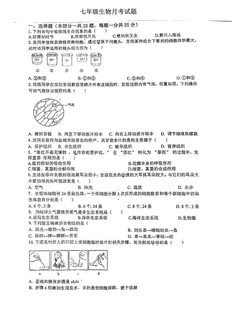 江苏省徐州市沛县五中联盟学区2024-2025学年七年级上学期12月月考生物试题第1页