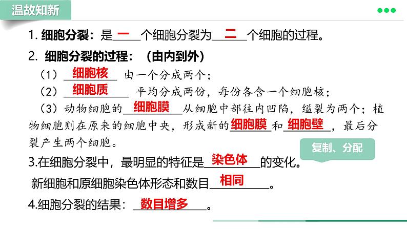 初中 生物 人教版(2024) 七年级上册(2024) 第二节 动物体的结构层次 课件第2页
