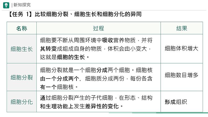 初中 生物 人教版(2024) 七年级上册(2024) 第二节 动物体的结构层次 课件第8页
