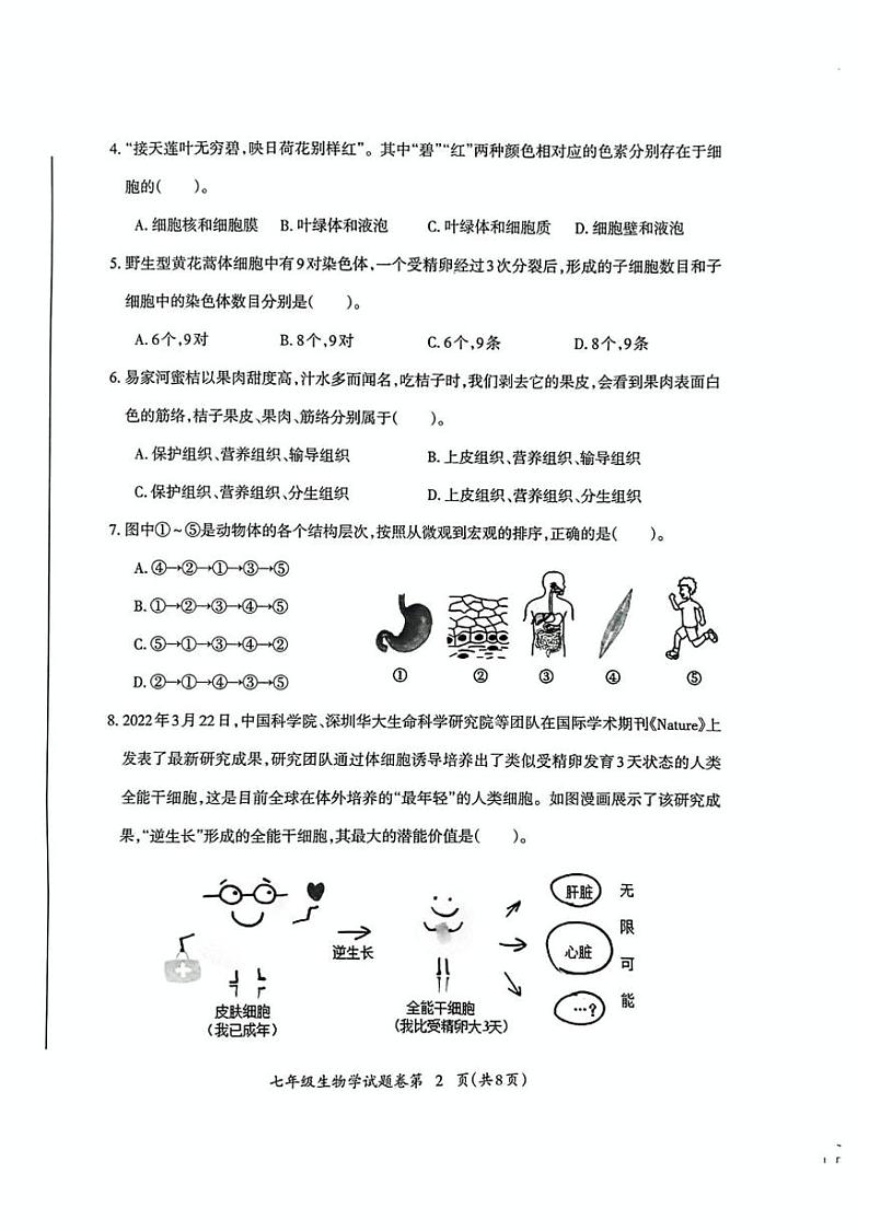 安徽省芜湖市2024-2025学年度第一学期期末七年级生物学试卷及答案 安徽省芜湖市2024-2025学年度第一学期期末考试七年级生物学试卷第2页