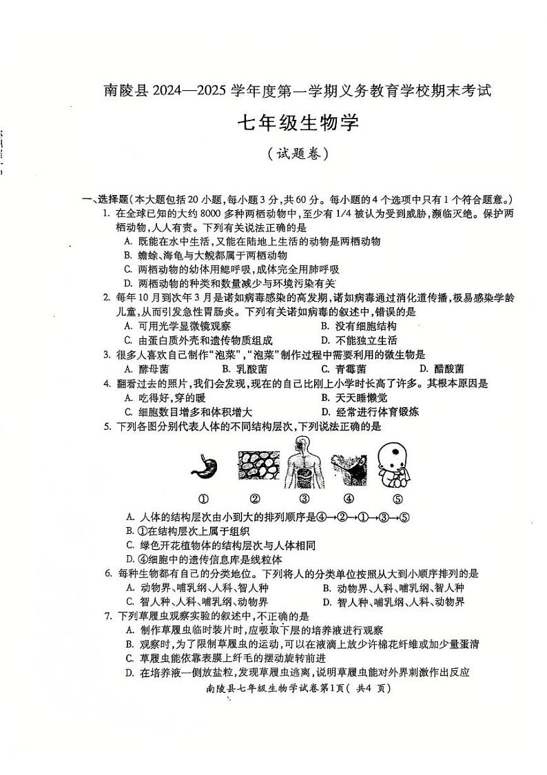 安徽省芜湖市南陵县2024-2025学年七年级上学期1月期末生物试题第1页