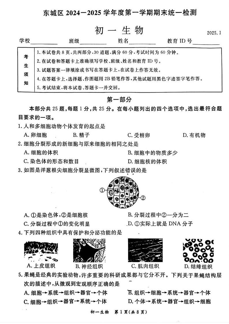 北京市东城区2024-2025学年七年级上期末考试生物试题第1页