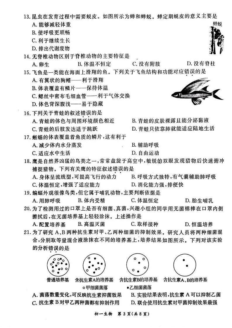 北京市东城区2024-2025学年七年级上期末考试生物试题第3页