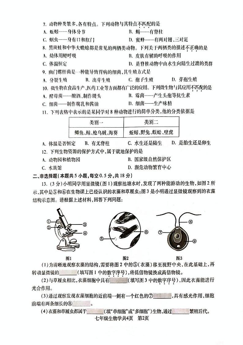辽宁省沈阳市浑南区2024-2025学年七年级上学期期末生物试题第2页