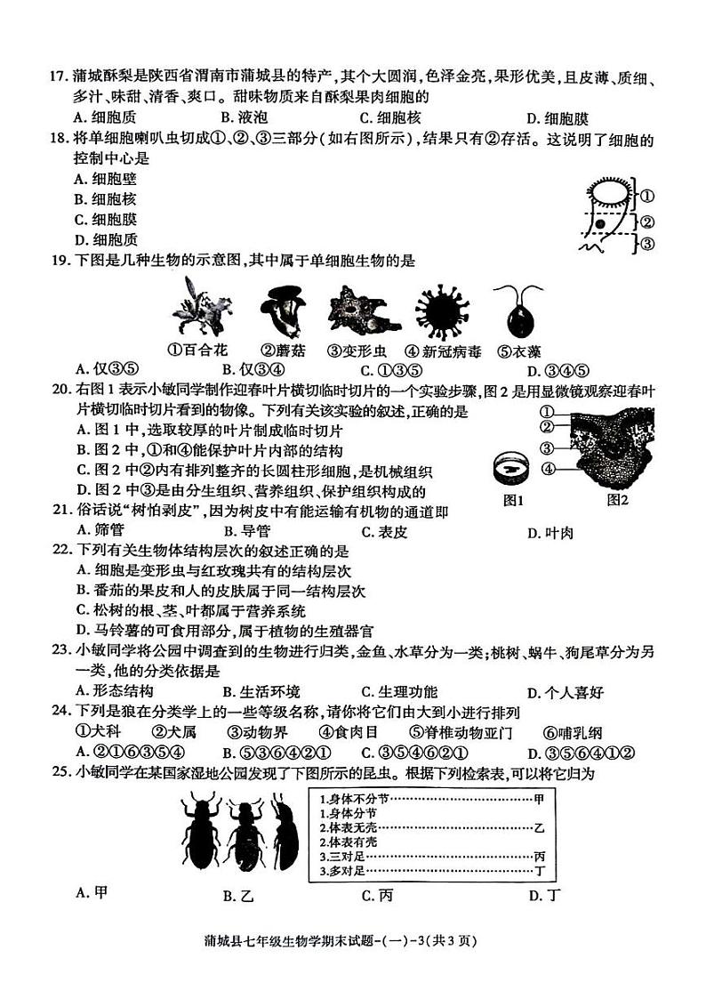 陕西省渭南市蒲城县2024--2025学年七年级上学期期末测试生物试卷第3页