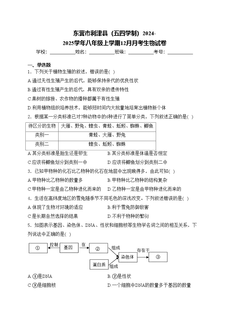 东营市利津县（五四学制）2024-2025学年八年级上学期12月月考生物试卷(含答案)