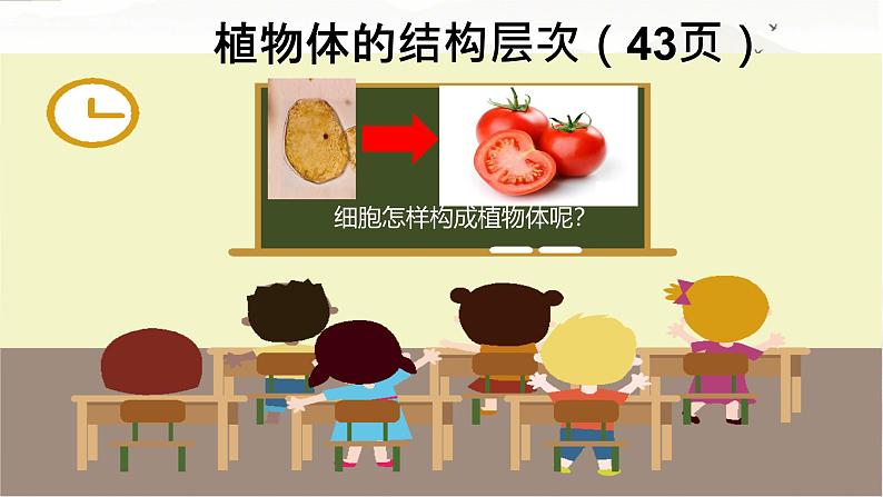 初中 生物 人教版(2024) 七年级上册(2024) 第三节 植物体的结构层次 课件第3页
