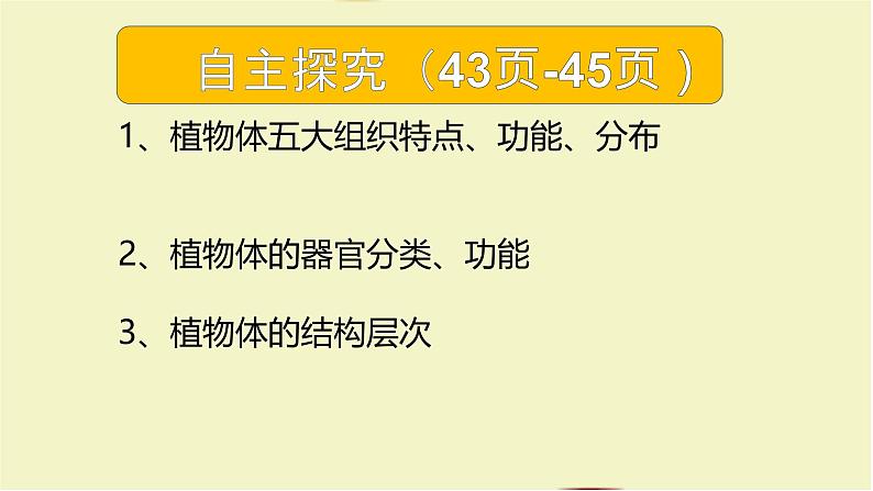 初中 生物 人教版(2024) 七年级上册(2024) 第三节 植物体的结构层次 课件第5页