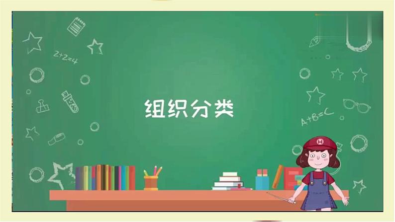 初中 生物 人教版(2024) 七年级上册(2024) 第三节 植物体的结构层次 课件第6页