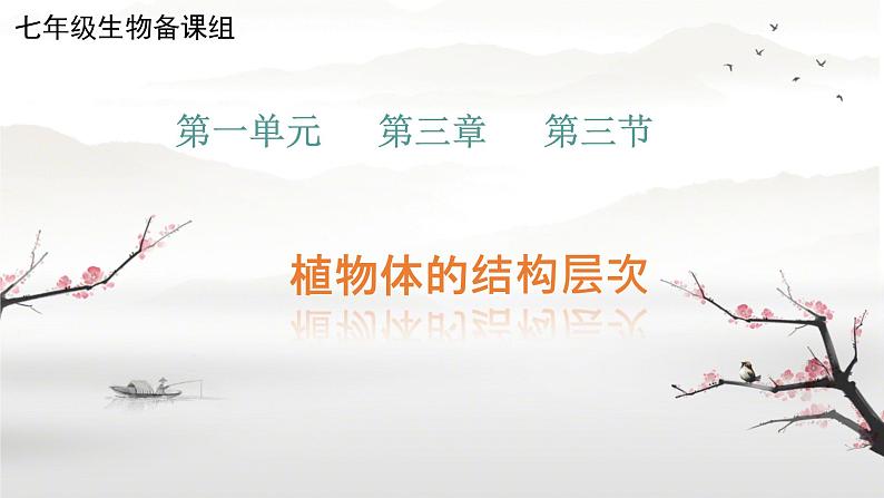 初中 生物 人教版(2024) 七年级上册(2024) 第三节 植物体的结构层次 课件第1页
