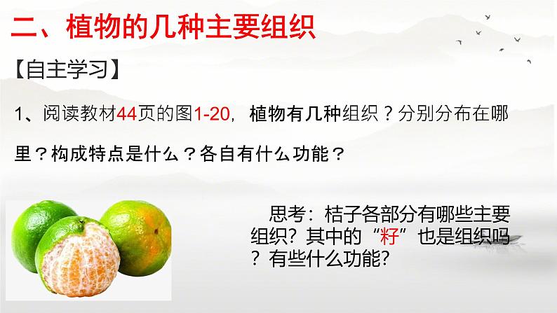 初中 生物 人教版(2024) 七年级上册(2024) 第三节 植物体的结构层次 课件第6页
