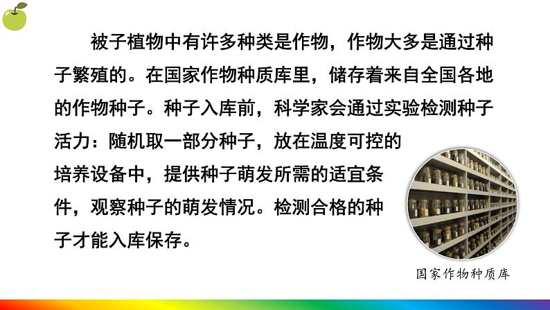 第一节 种子的萌发第4页