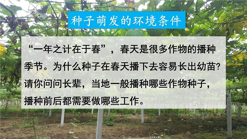 第一节 种子的萌发第7页
