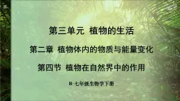 3.2.4 植物在自然界中的作用 (课件)-2024-2025学年人教版(2024)生物七年级下册