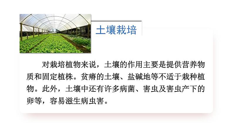 综合实践项目 栽培一种植物,探究所需的环境条件 (课件)-2024-2025学年人教版(2024)生物七年级下册第3页