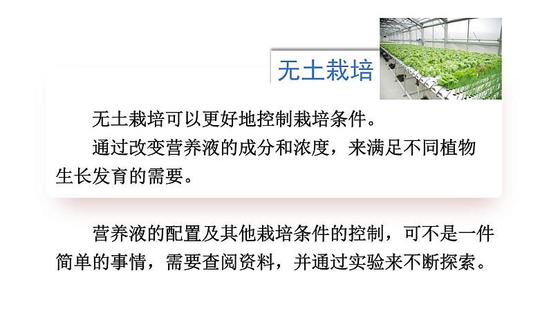 综合实践项目 栽培一种植物,探究所需的环境条件 (课件)-2024-2025学年人教版(2024)生物七年级下册第4页