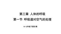 初中生物人教版(2024)七年级下册(2024)第一节 呼吸道对空气的处理多媒体教学课件ppt