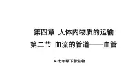 生物七年级下册(2024)第二节 血流的管道 —— 血管课前预习ppt课件