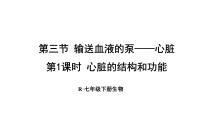 生物七年级下册（2024）第四单元 人体生理与健康（一）第四章 人体内物质的运输第三节 输送血液的泵 —— 心脏课前预习ppt课件