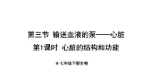 生物七年级下册（2024）第四单元 人体生理与健康（一）第四章 人体内物质的运输第三节 输送血液的泵 —— 心脏课前预习ppt课件