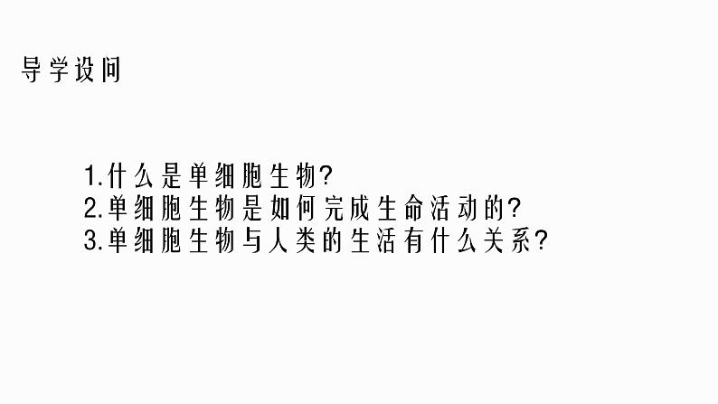 初中 生物 人教版(2024) 七年级上册(2024) 第四节 单细胞生物 课件第2页