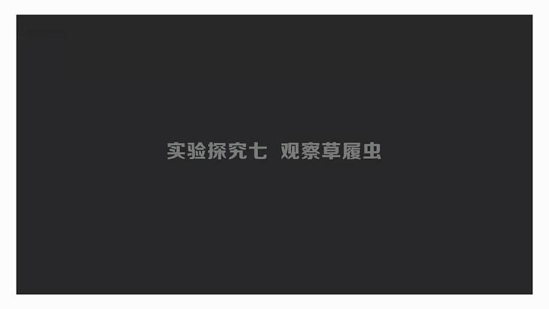 初中 生物 人教版(2024) 七年级上册(2024) 第四节 单细胞生物 课件第5页