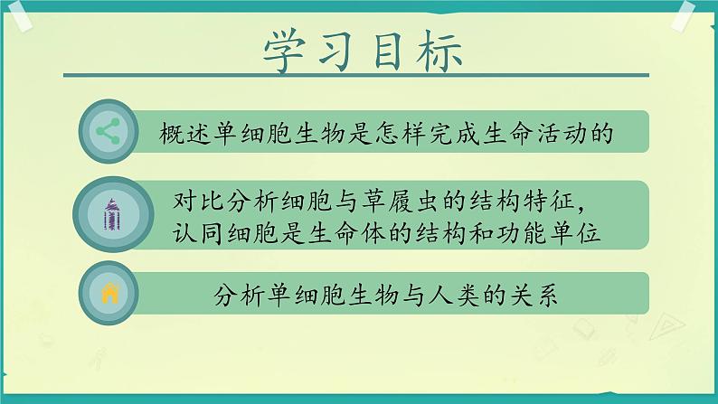 初中 生物 人教版(2024) 七年级上册(2024) 第四节 单细胞生物 课件第2页