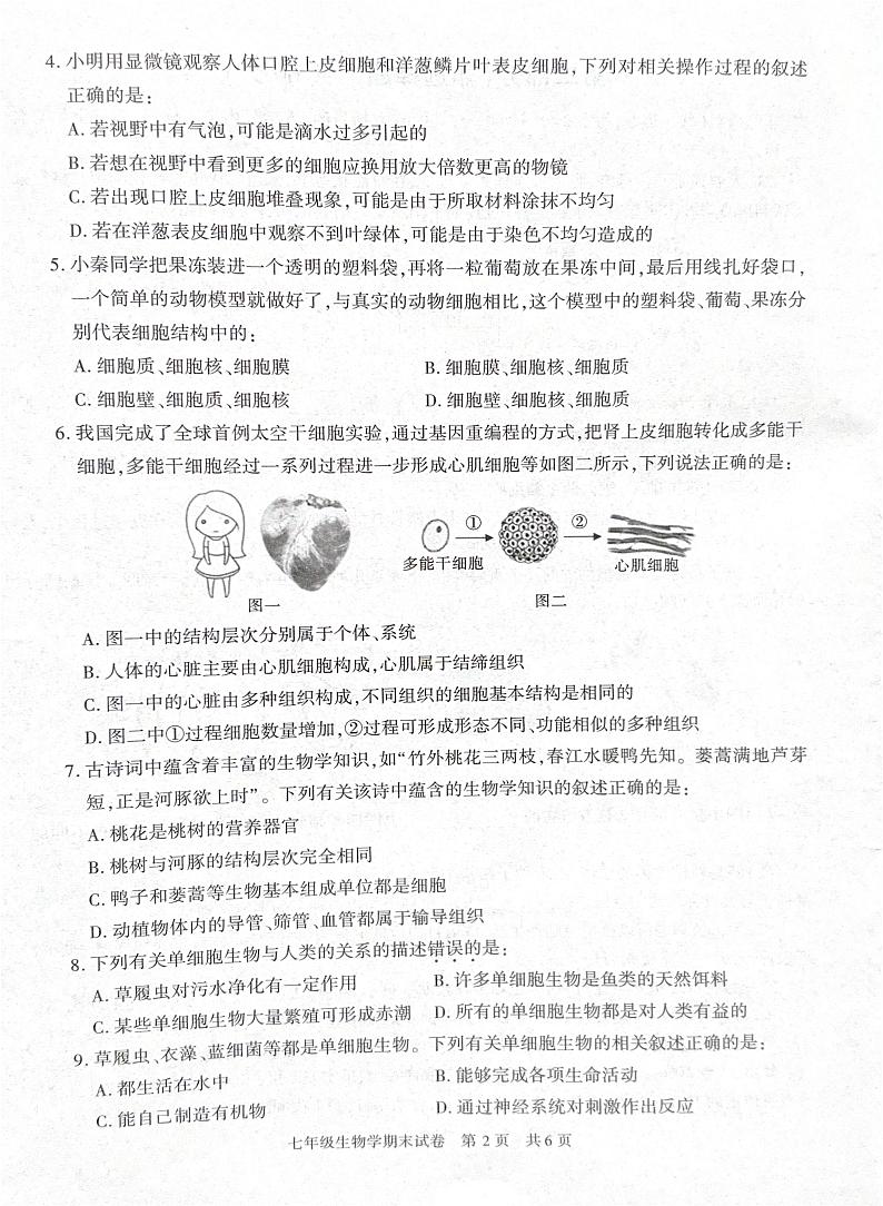 陕西省西安市长安区2024-2025学年七年级上学期生物期末试卷第2页