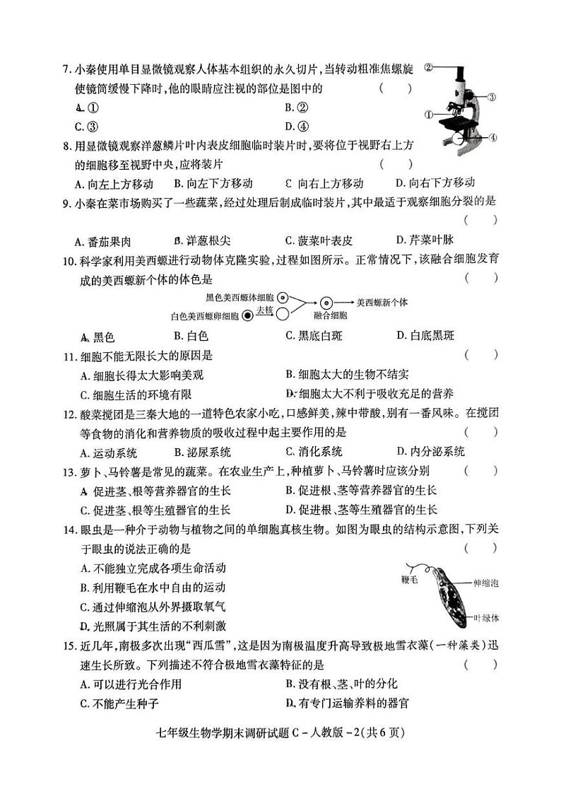 陕西省西安市西光中学2024-2025学年七年级上学期期末考试生物试卷第2页