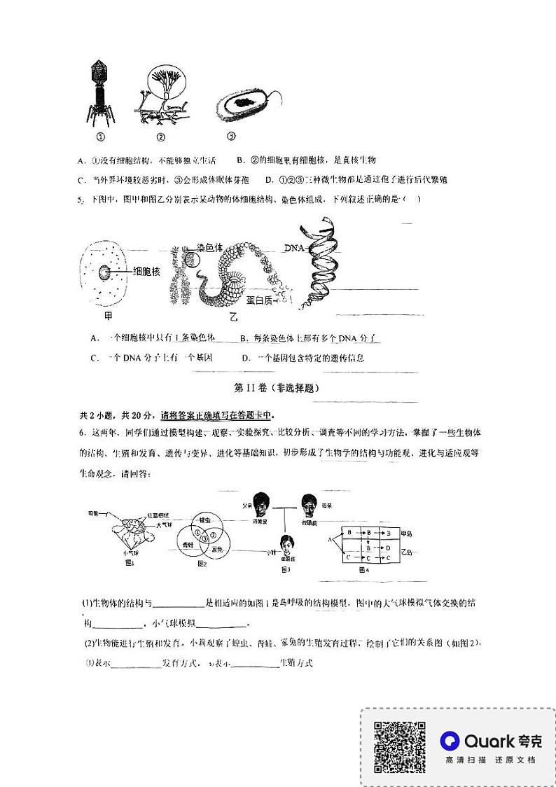 内蒙古通辽市开鲁县2024-2025学年八年级上学期1月期末生物试题第2页