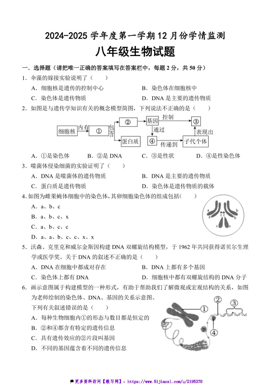 2024～2025学年山东省济宁市金乡县八年级上12月月考生物试卷(含答案)