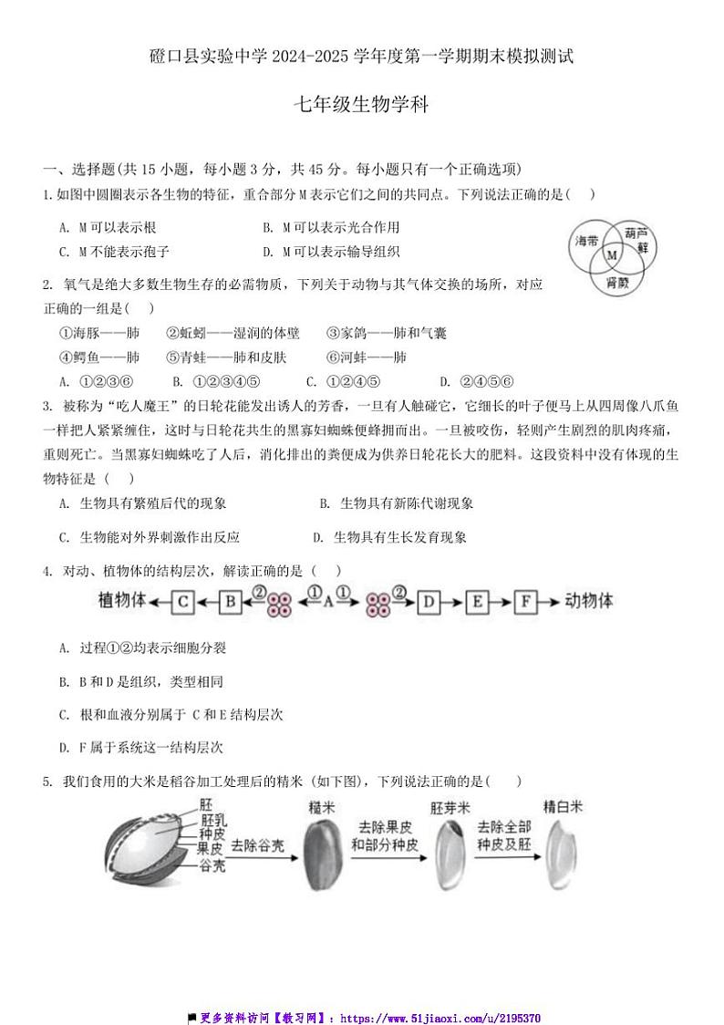 2024~2025学年内蒙古巴彦淖尔市磴口县实验中学七年级上12月期末模拟生物试卷(含答案)第1页