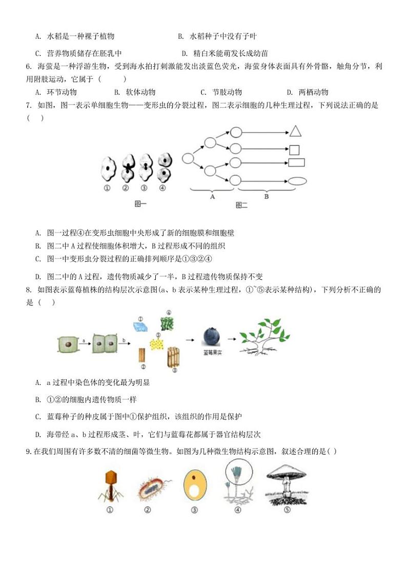 2024~2025学年内蒙古巴彦淖尔市磴口县实验中学七年级上12月期末模拟生物试卷(含答案)第2页
