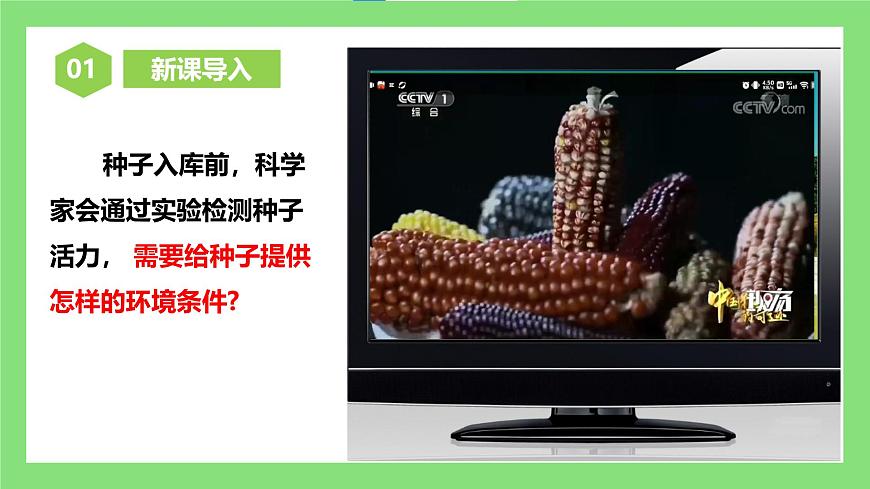 人教版初中生物七年級下冊3.1.1《種子的萌發(fā)》課件第5頁