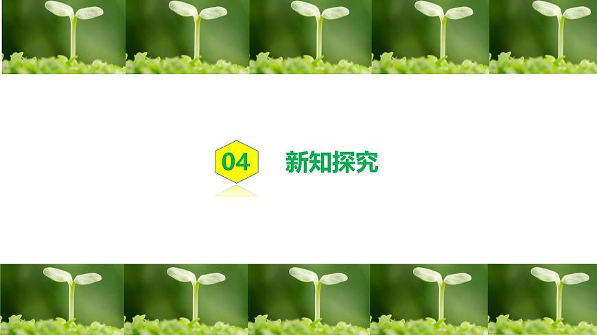 人教版初中生物七年級下冊3.1.1《種子的萌發(fā)》課件第8頁