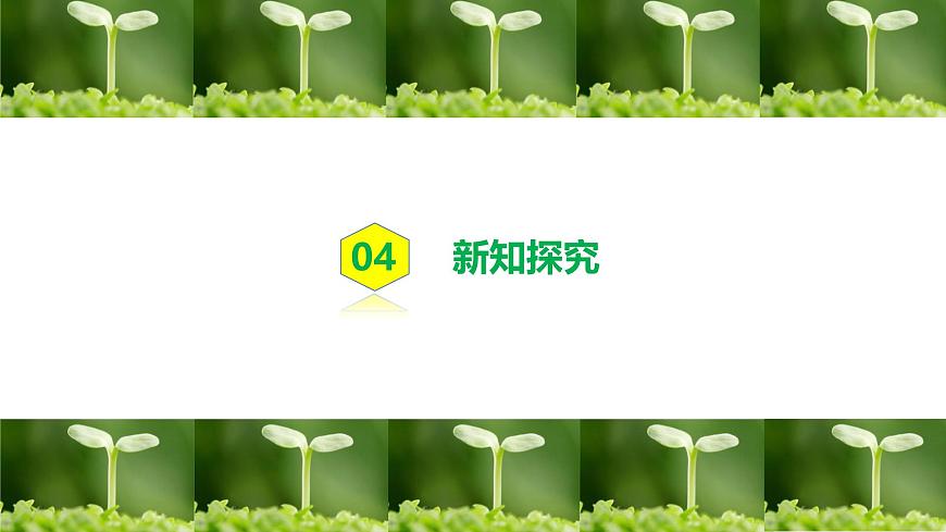 人教版初中生物七年級下冊3.1.2《植株的生長》課件第7頁
