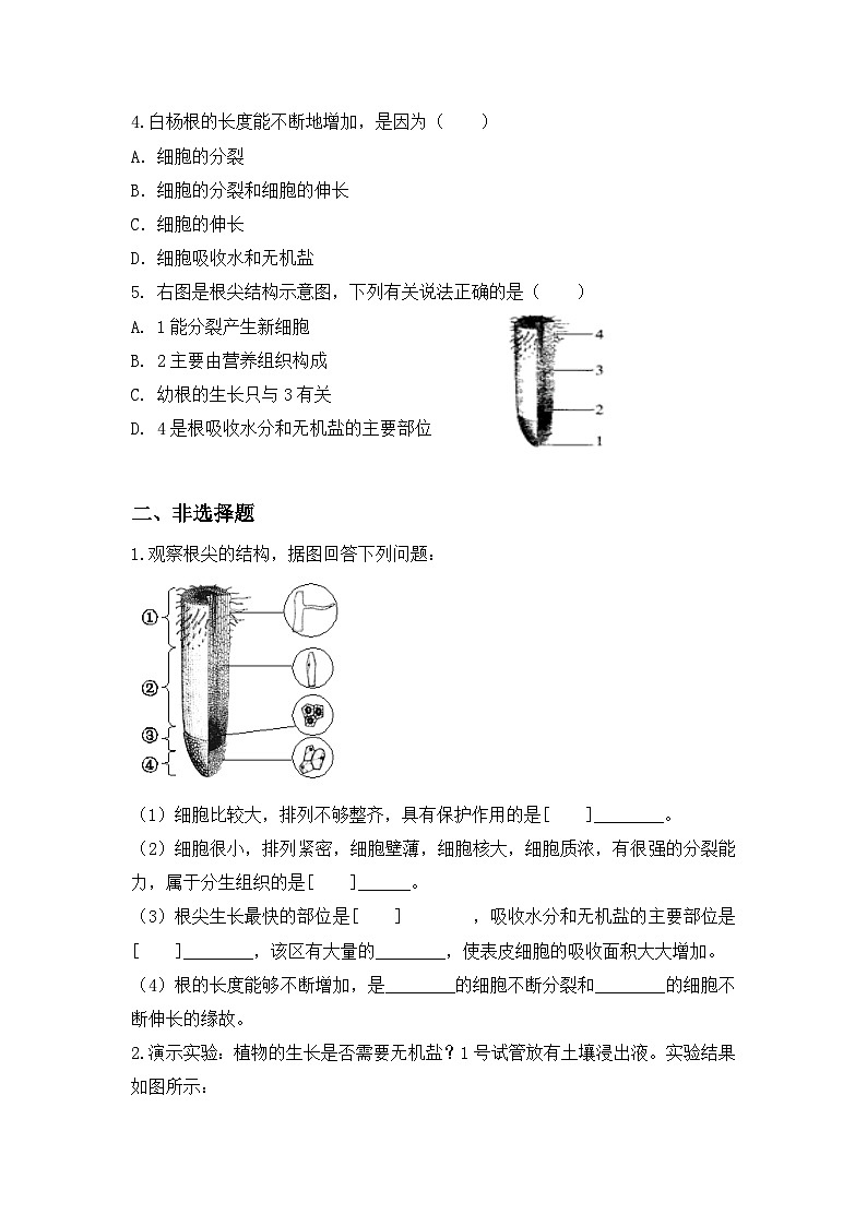 人教版初中生物七年级下册3.1.2《植株的生长》同步分层练习(含答案)第3页