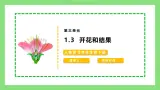 【核心素养目标】人教版初中生物七年级下册3.1.3《开花和结果》 课件+视频+教学设计+同步分层练习（含答案)
