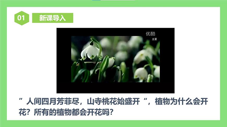 人教版初中生物七年級(jí)下冊(cè)3.1.3《開花和結(jié)果》課件第3頁