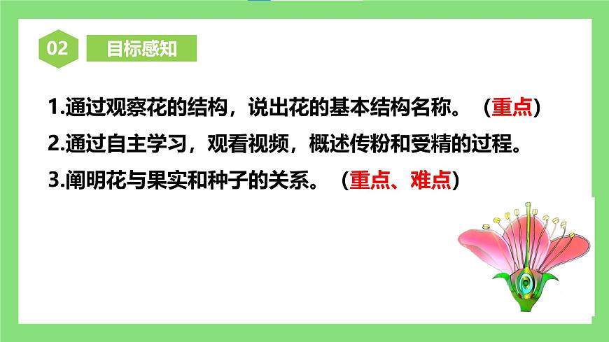 人教版初中生物七年級(jí)下冊(cè)3.1.3《開花和結(jié)果》課件第4頁