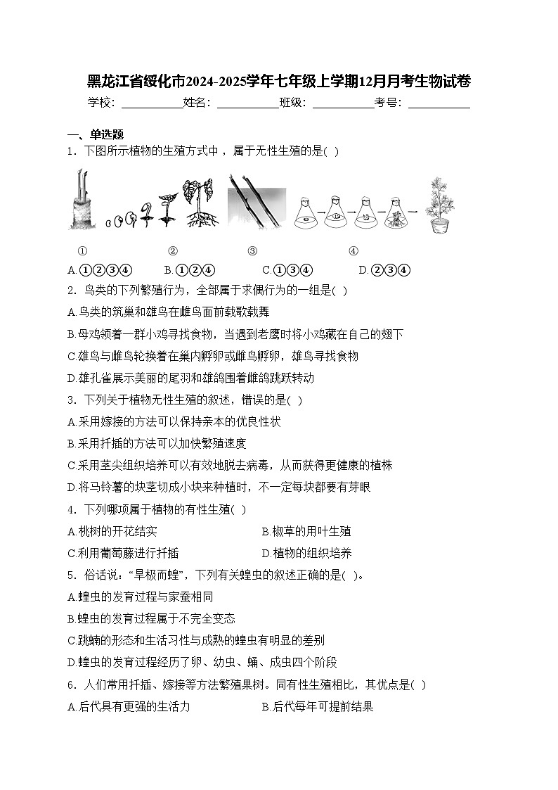 黑龙江省绥化市2024-2025学年七年级上学期12月月考生物试卷(含答案)第1页
