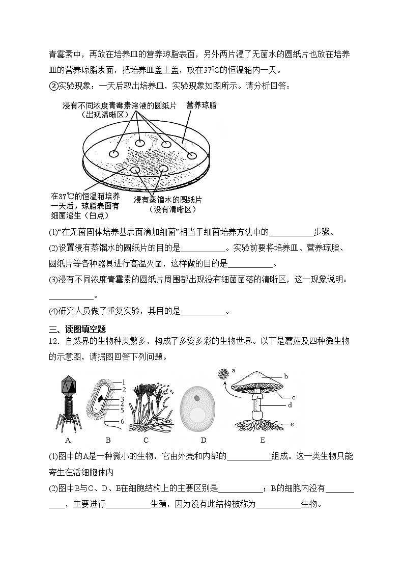 湖北省黄冈市2024-2025学年八年级上学期12月第二次测评生物试卷(含答案)第3页