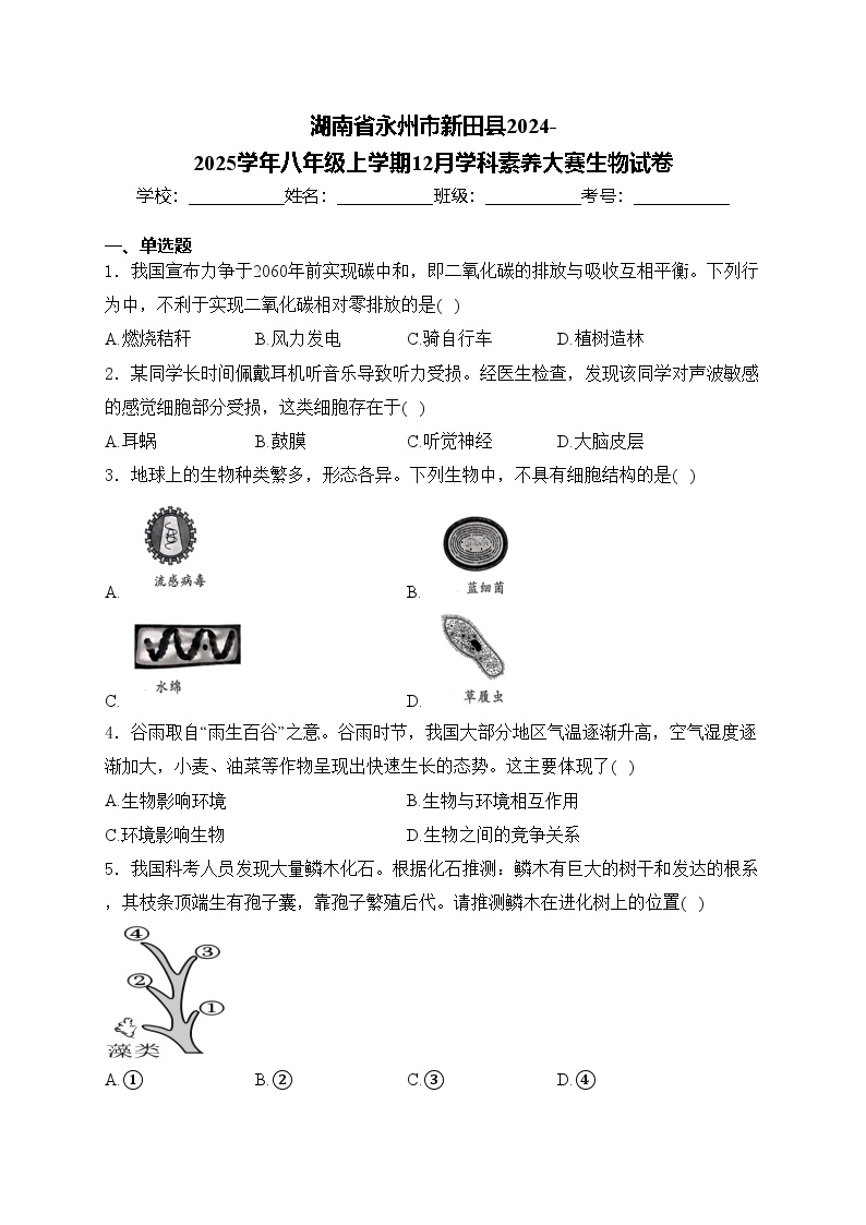 湖南省永州市新田县2024-2025学年八年级上学期12月学科素养大赛生物试卷(含答案)