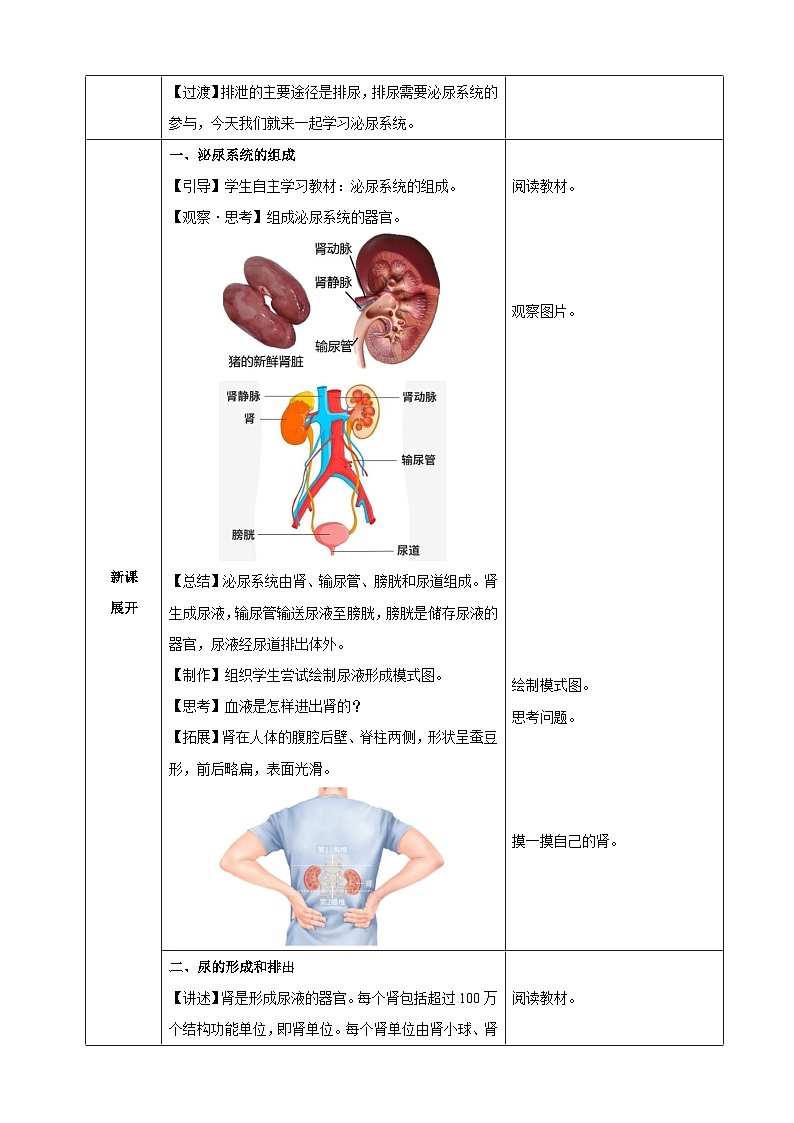4.5 人体内废物的排出(教学设计)-2024-2025学年人教版(2024)生物七年级下册第2页